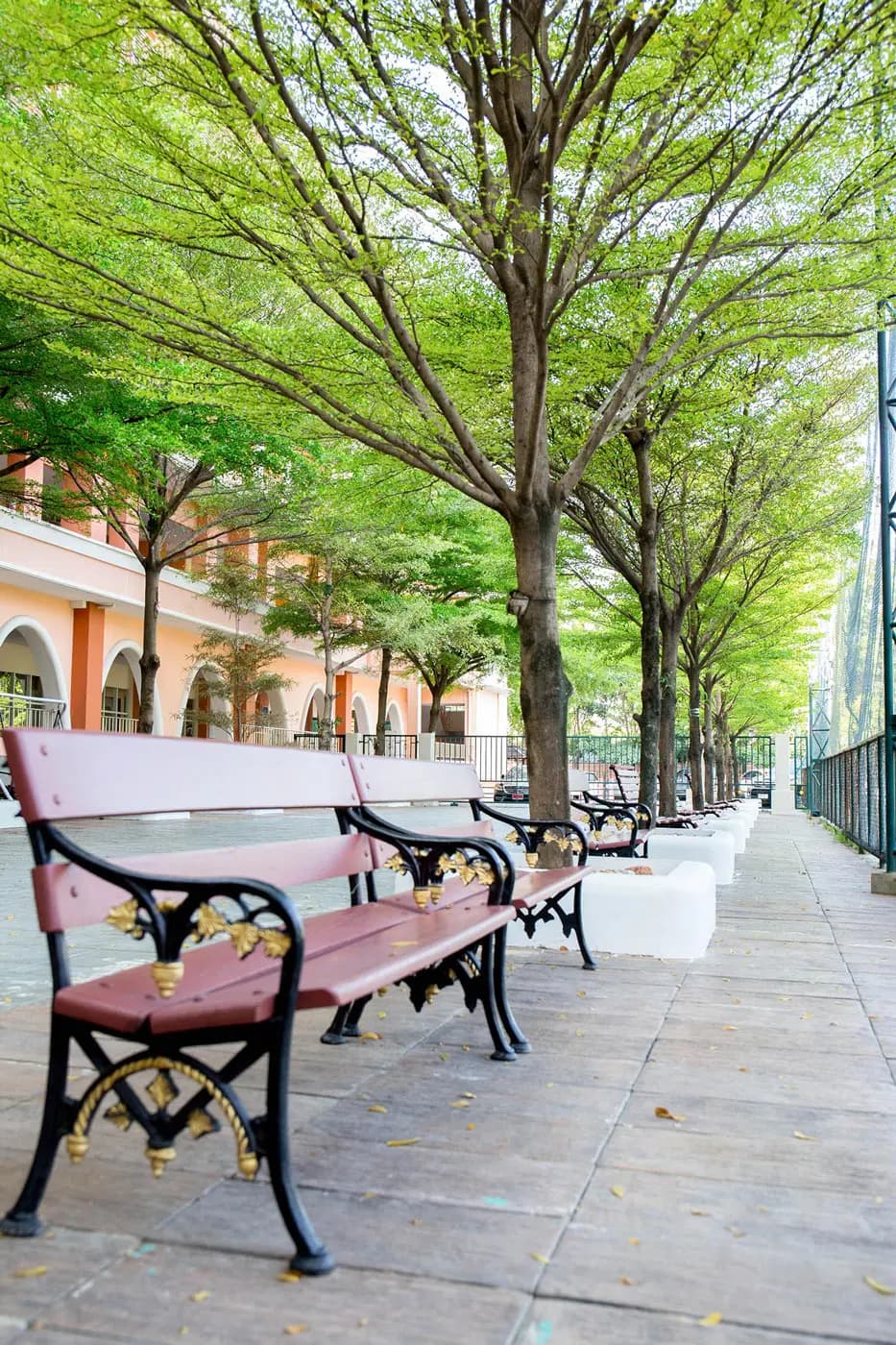 NIVA green and open campus - Vertical shot of bench and trees
