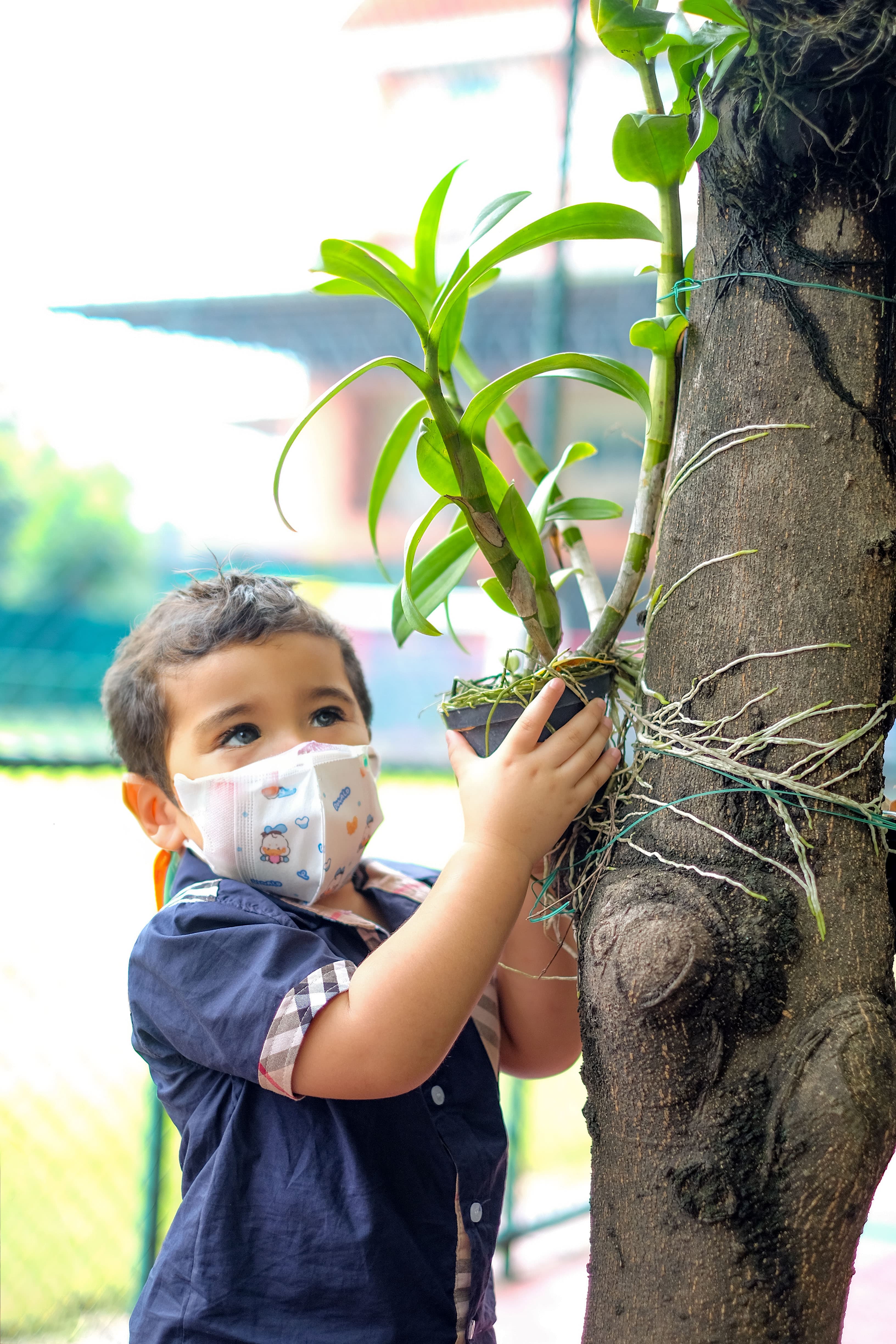 Nursery boy with orchid and tree